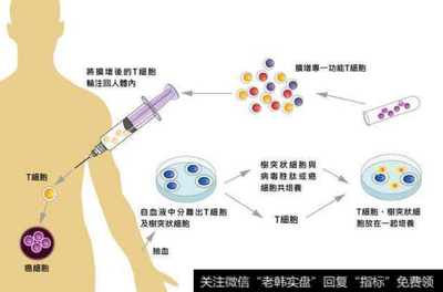 免疫療法新突破 CAR-T與干細(xì)胞技術(shù)催生投資新機(jī)遇